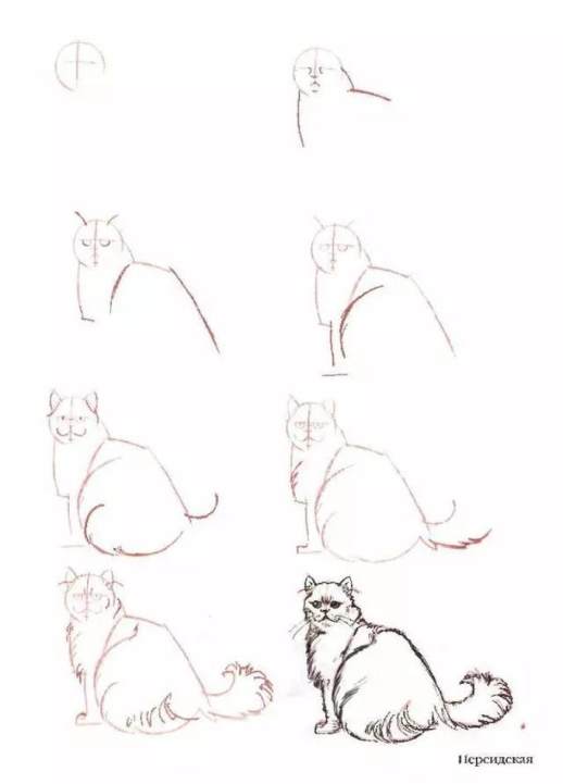 手绘猫咪图片简笔画