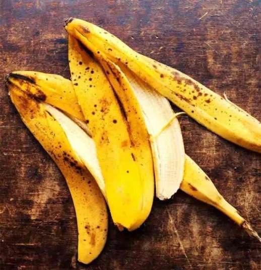 香蕉皮是什么垃圾