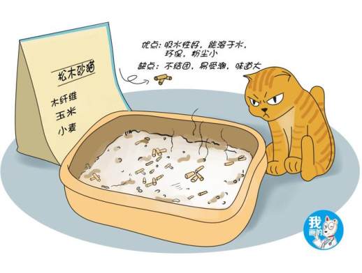 猫砂是什么