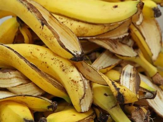 香蕉皮是什么垃圾