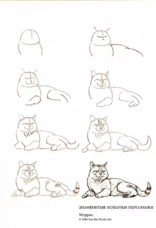 手绘猫咪图片简笔画