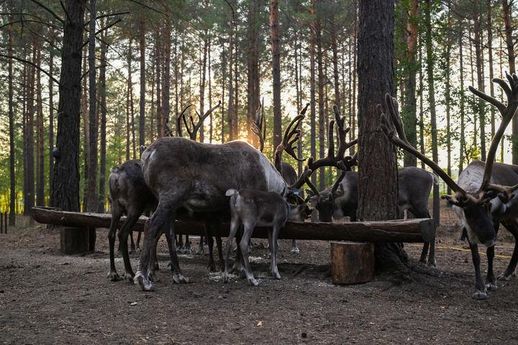 地狱边境20关怎么过 地狱边境25关怎么过图解